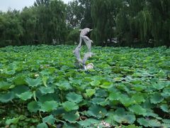 -三圣花乡旅游区