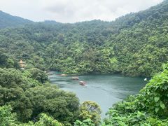 -鼎湖山风景区