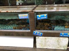 -金河半岛园林酒家(金融城店)