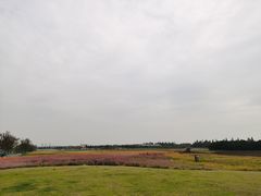 -贡湖湾湿地公园