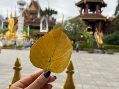 -西双版纳总佛寺