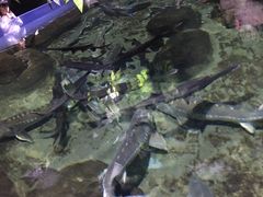 -南昌海洋公园