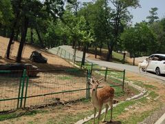 -秦皇岛野生动物园