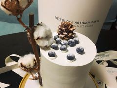-Biteology Artisan Cakes(红庄·国际文化保税创新园店)
