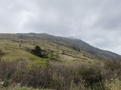 -秦岭风景区