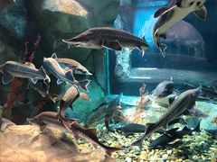 -波塞冬旅游度假区