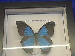 -湖北省美术院美术馆