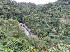 -海南热带雨林国家公园吊罗山景区
