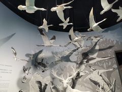 -中国湿地博物馆