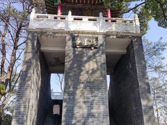 -青龙山国家森林公园