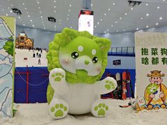 -广州热雪奇迹