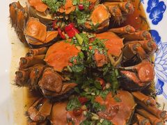 -龙小海荆沙鸽子店(瑞安街店)