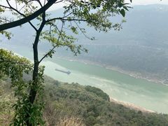 -铁山坪森林公园