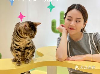 火爆魔都的利路修同款猫咖开来成都啦