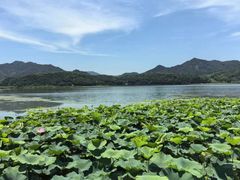 -东钱湖旅游度假区