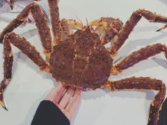 帝王蟹-盒马鲜生(王府广场店)