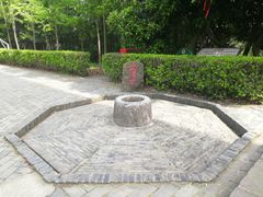 -上海佘山国家森林公园天马山园