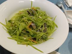 -大连湾旭日·家宴·海肠捞饭(马栏广场店)