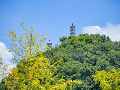 -紫阳古街