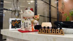-清羽高温瑜伽·普拉提