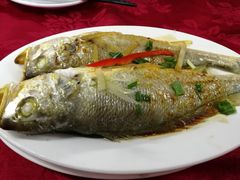-蛇口康乐快餐鱼仔档(翠苑小区店)