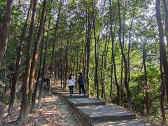-火炉山森林公园