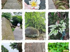 -火炉山森林公园