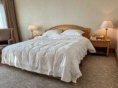 -南京维景国际大酒店(南京博物院店)