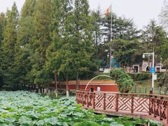 -湛山寺