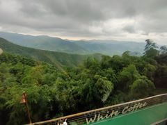 -莫干山风景区