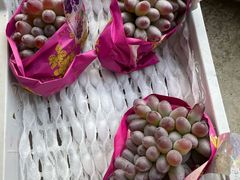 -马陆小张葡萄园农家乐