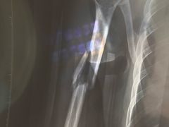 -北京有明中医诊所