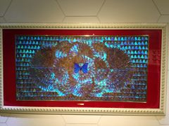 iphone_upload_pic-上海昆虫博物馆