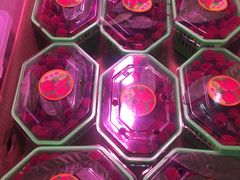 -深圳市海吉星国际农产品物流管理有限公司