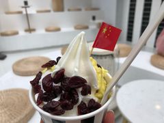 -JW德国冻酸奶Frozen Yogurt(龙湖成都滨江天街店)