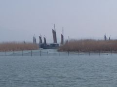 -湖鲜楼
