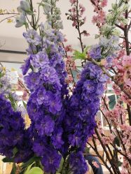 -今日陶艺(富力广场店)