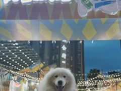 -中贸广场