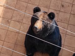 -昆明动物园