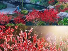 -桃花涧
