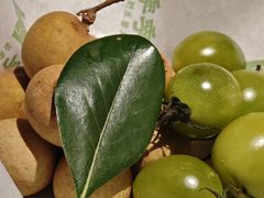 -季季山·云南野生菌火锅(上海首店)