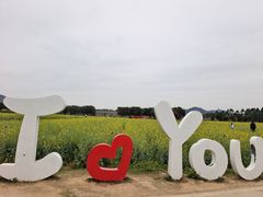 -光明小镇欢乐田园