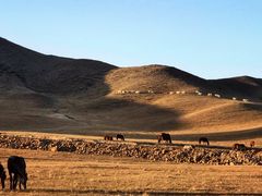 -塞罕坝国家级自然保护区