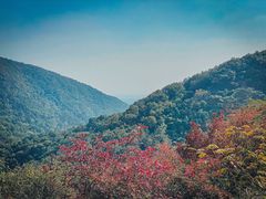 -南京老山国家森林公园