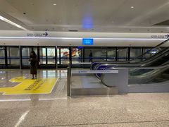 -日上免税店