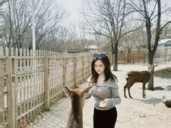 -水上乐园·欢乐世界