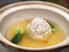 -丁老爷子苏香圆