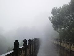 -南山植物园