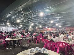 -霞姐屯昌枫木香草鸭店(海螺店)