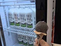 -野人先生现做冰淇淋(北京顺义祥云小镇店)